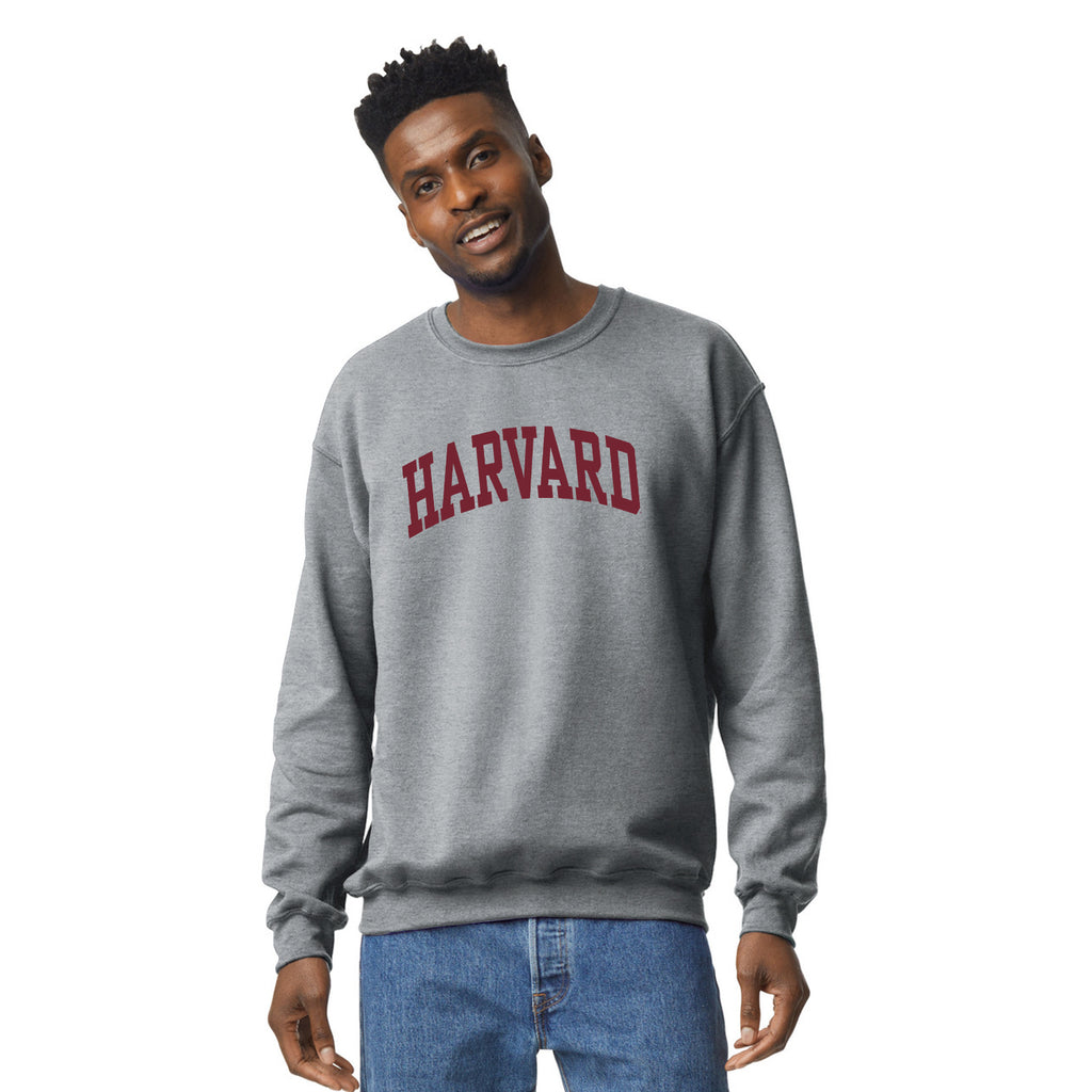 Howard Bison Pink Howard University Sweatshirt Future Bison Youth