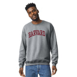 Harvard University Essential Crewneck Sweatshirt (Heather Grey)