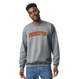 Princeton University Essential Sweatshirt (Heather Grey)