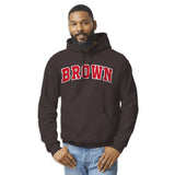 Brown University Veritas Hooded Sweatshirt (Brown)