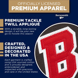 Brown University Veritas Hooded Sweatshirt (Brown)