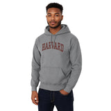Harvard University Classic Hood Sweatshirt (Grey)