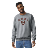 Harvard University Spirit Sweatshirt (Grey)
