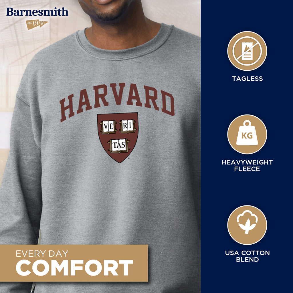 Barnesith Crewneck Sweatshirt For College, Classic Logo