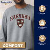 Harvard University Spirit Sweatshirt (Grey)