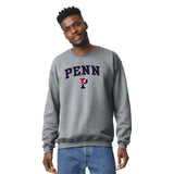 University of Pennsylvania Spirit Sweatshirt (Grey)