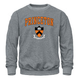 Princeton Heritage Sweatshirt II (Grey)