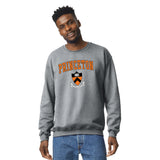 Princeton Heritage Sweatshirt II (Grey)