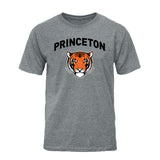 Princeton Spirit T-Shirt (Charcoal Grey)