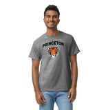 Princeton Spirit T-Shirt (Charcoal Grey)