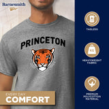 Princeton Spirit T-Shirt (Charcoal Grey)