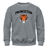 Princeton Spirit Sweatshirt (Charcoal Grey)