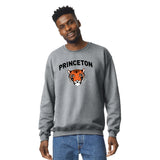 Princeton Spirit Sweatshirt (Charcoal Grey)
