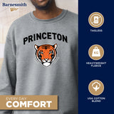 Princeton Spirit Sweatshirt (Charcoal Grey)