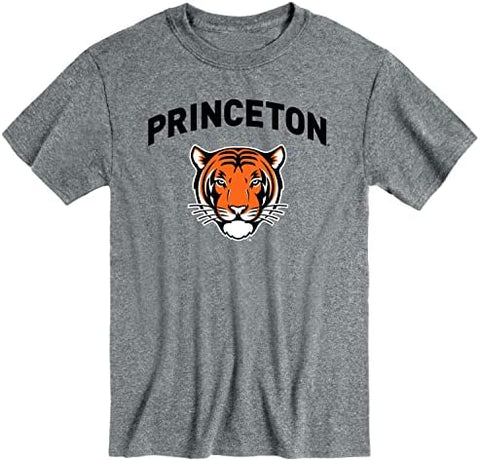 Princeton Spirit T-Shirt (Charcoal Grey)