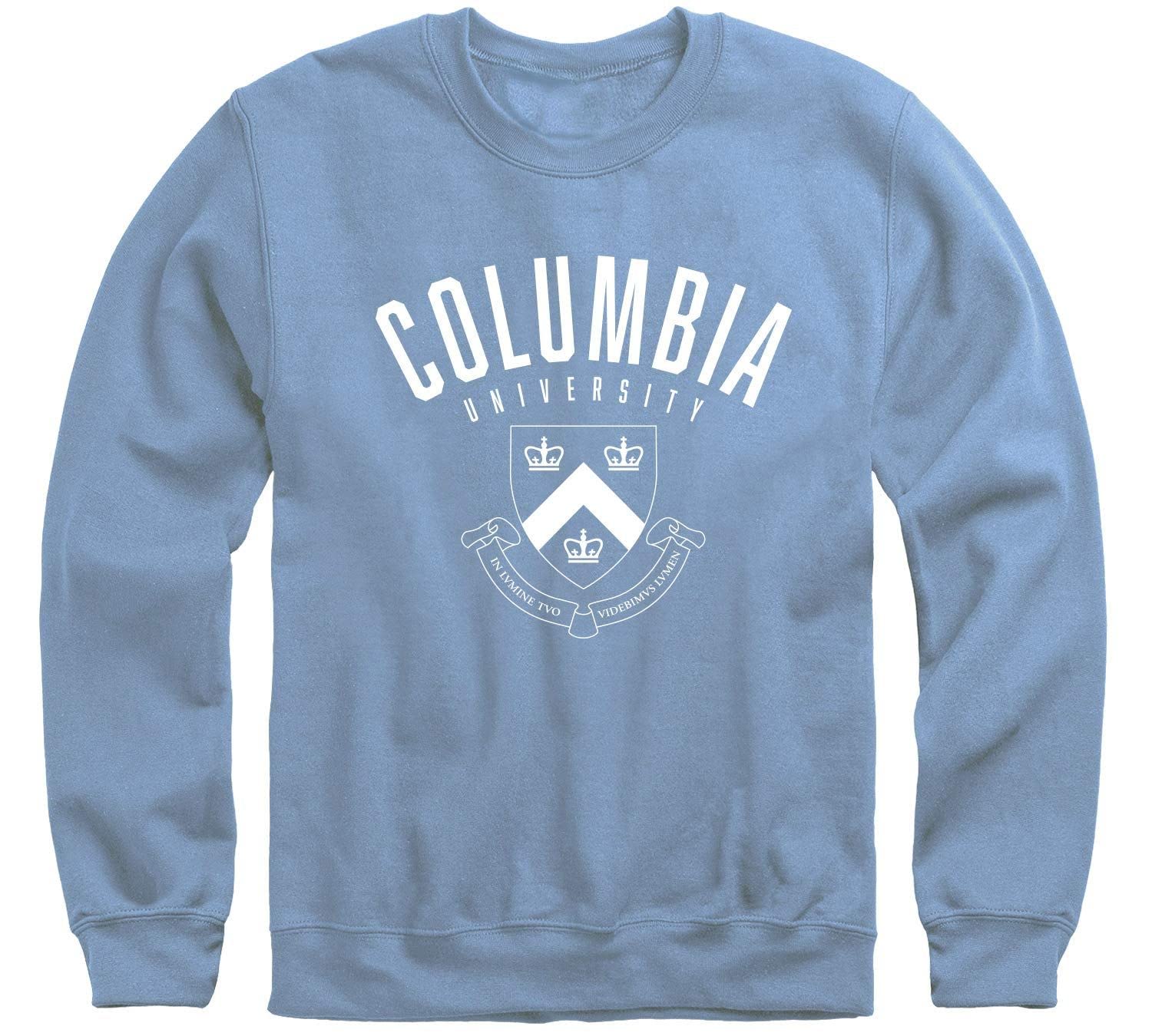 Columbia University Lions hoodie sweatshirt-Ash Gray